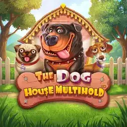 The Dog House Multihold game at Nine Casino for United Kingdom players